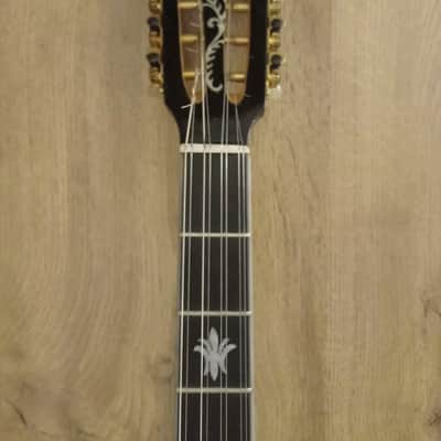 Greek bouzouki &hardcase & pickup & 300 backing track with pdf scores 8 string image 6