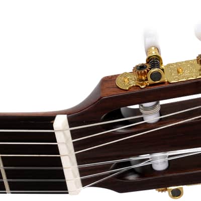 Sigma CM-ST+ Classical Guitar image 6