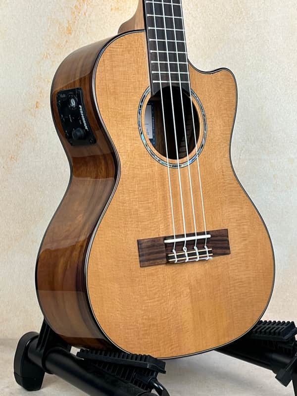 Kala KA-SCAC-T-CE 2023 - Gloss image 1