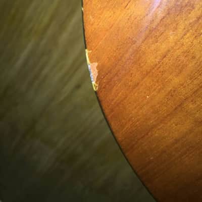 Vintage Samick Sw015e-1 Acoustic Electric Guitar image 6