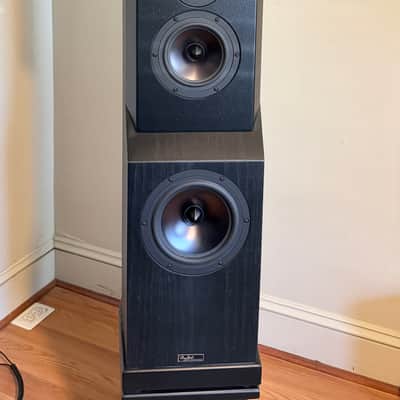 Tyler Acoustic D2X Mastering Studio Monitors image 3