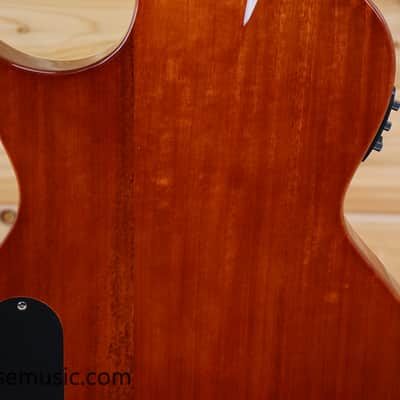 ESP LTD TL-4 Hollowbody - Natural Gloss image 10