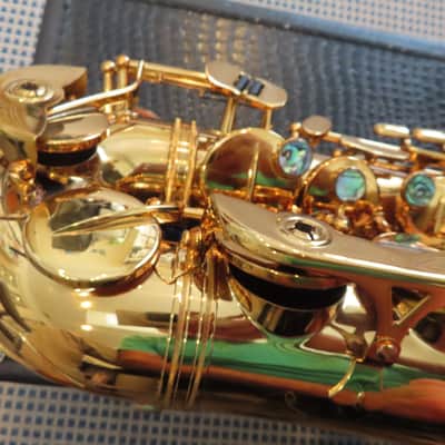 CANNONBALL SCEPTYR ALTO SAXOPHONE-STUNNING -FRESH PRO OVERHAUL, MUST SEE+ 1 Yr WTY image 12