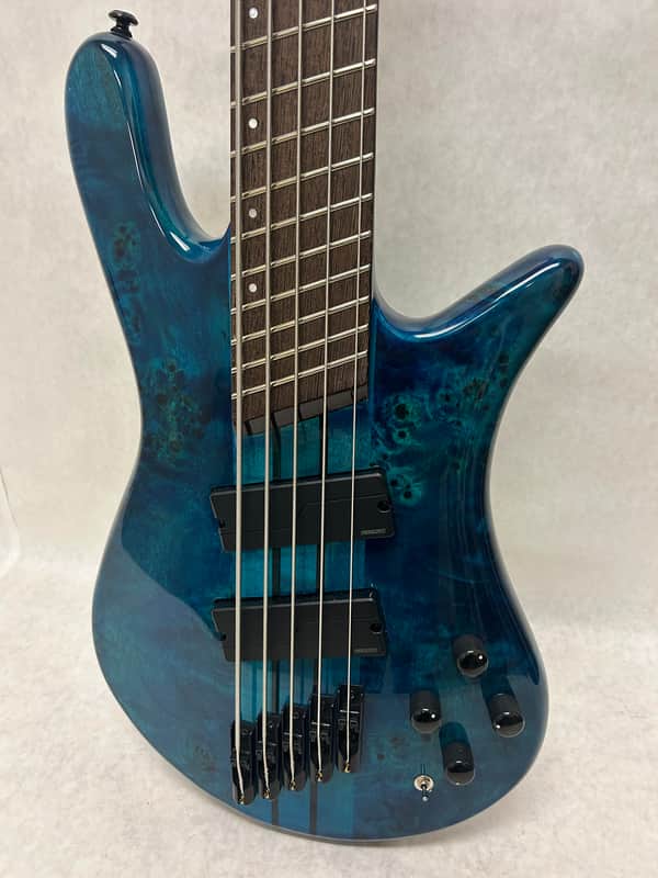 Spector NS DIMENSION 5 STRING 2022 - BLACK AND BLUE image 1