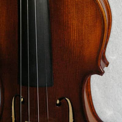 3/4 Bellafina Musicale Violin 2021 for Fiddle image 2