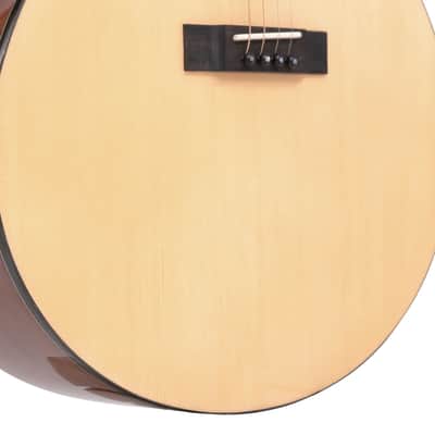 Gold Tone TG-10 Spruce Top Mahogany Neck 4-String Acoustic Tenor Guitar with Hard Case image 6