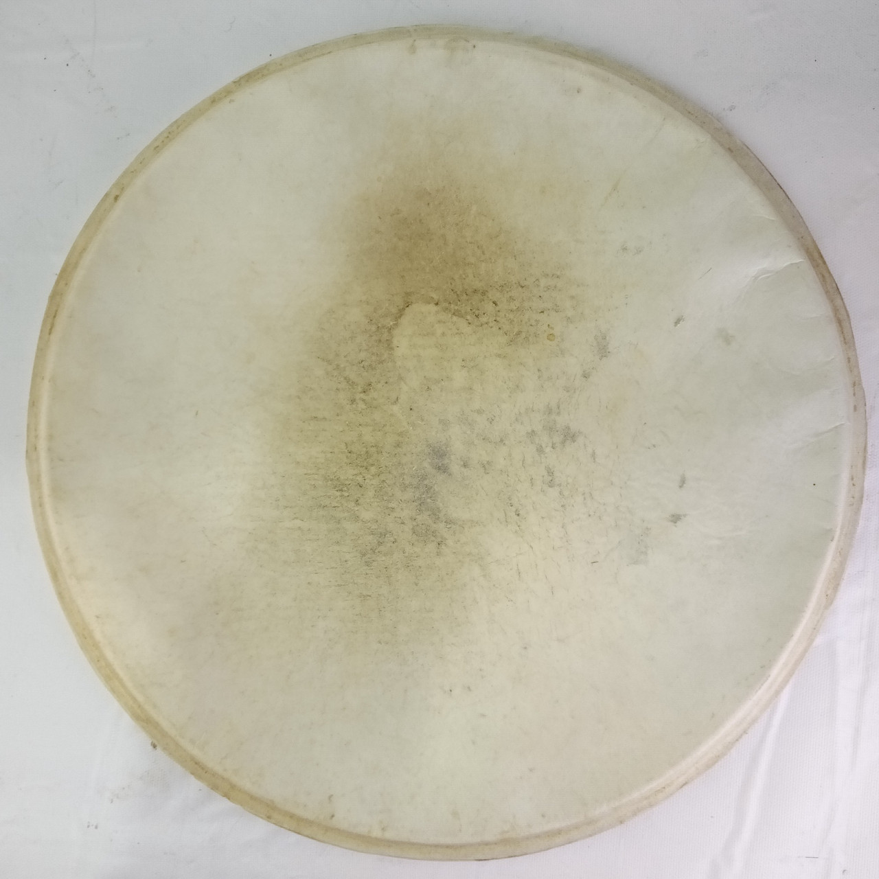 Slingerland 14"Batter Calf Skin Snare/Floor Tom Drum Head Vintage 40s Radio King — main photograph