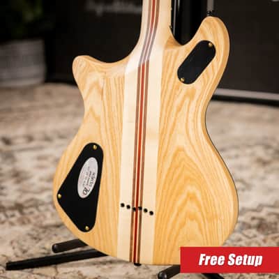 Schecter Tempest 50th Anniversary Electric Guitar - 50th Gold Burst image 2