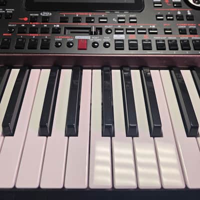 Korg PA1000 61-Key Professional Arranger 2017 - Present - Red image 4