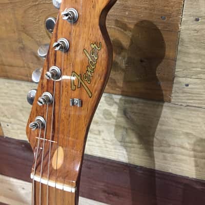 Fender TL-69 Rosewood Telecaster Made In Japan 1986 image 14
