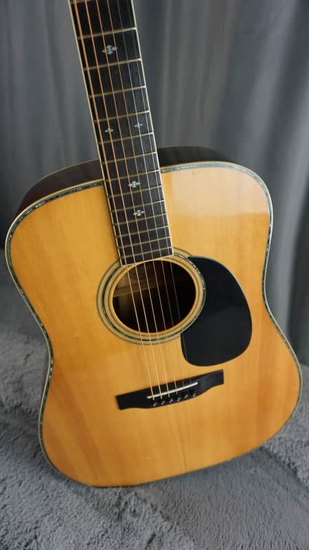 TF Morris W-50 - Natural Japan Acoustic image 1