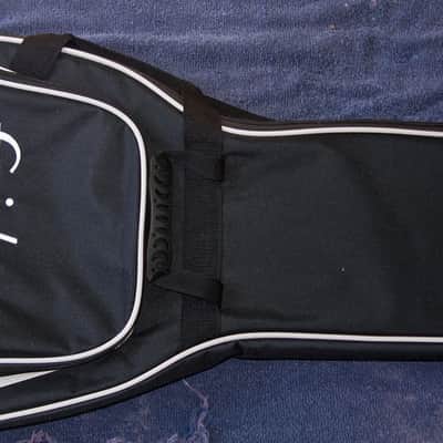 Epiphone Padded Guitar Gig Bag JAPAN image 1