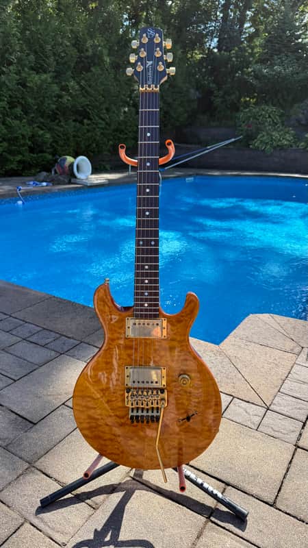 Stuart Spector Design (SSD) BlackHawk Guitar  - Stuart’s Personal Guitar image 1