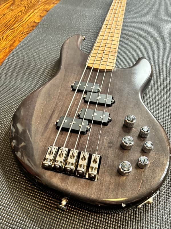 Alien Audio Constellation 5 String Bass image 1
