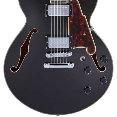 D'Angelico Premier SS Semi-Hollow Body Electric Guitar, Black Flake w/Gig Bag image 1