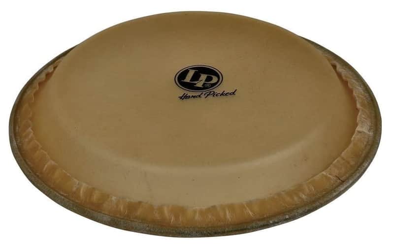 Latin Percussion 9-Inch Mounted Super Quinto Drum Head (LP265D) image 1