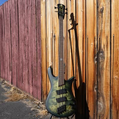 Spector NS Dimension 4 Multi Scale w/ Gig Bag - Haunted Moss Matte 4-String Bass image 3