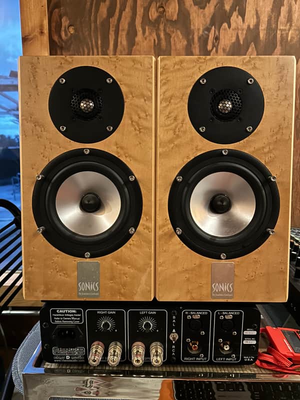 Sonics Anima by Joachim Gerhard with Class D Amp image 1