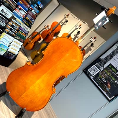 Student Cello: 1/2 Cello - Segue Concertino Plus 2016 - Oil varnish image 22
