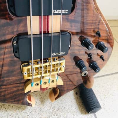 Alembic Alembic Darling Bass Flame Wallnut image 12
