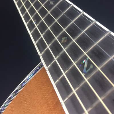 Zager ZAD80CE Solid Cedar/Rosewood Acoustic Electric Pro Series image 4