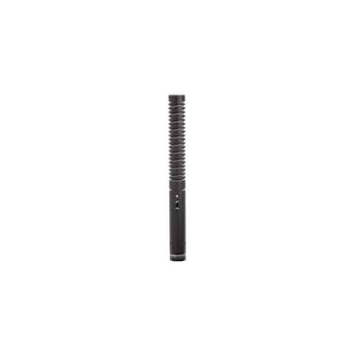 RODE NTG3 Shotgun Condenser Mic | Reverb