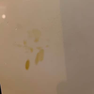 Gibson Custom shop Les Paul 2013 - Alpine white image 8