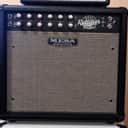 Mesa Boogie Recto-Verb 25 2-Channel 25-Watt 1x12" Guitar Combo Amplifier