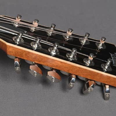 Taylor 858 12-String 2015 image 11