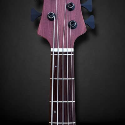 Elrick EVO Gold 5 String Purpleheart 2025 - Natural image 5