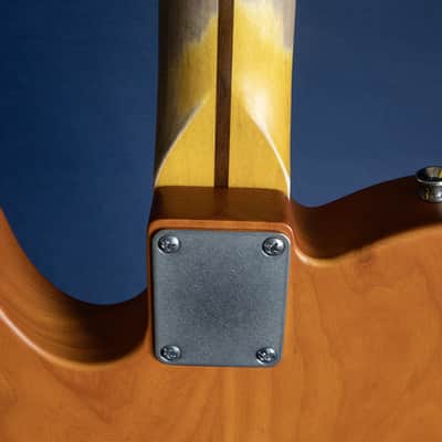 New Nash T-69TL image 8