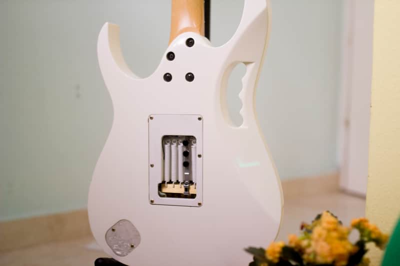 Custom Openback Backplate for Jem Guitars Bild 1
