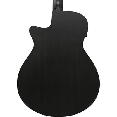 Ibanez AEG621 Auditorium Acoustic-Electric Guitar - Regular Black Out image 2