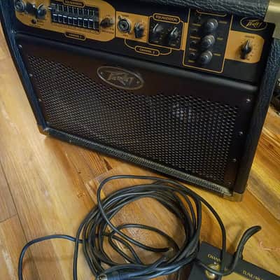 Peavey E110 Ecoustic 1x10