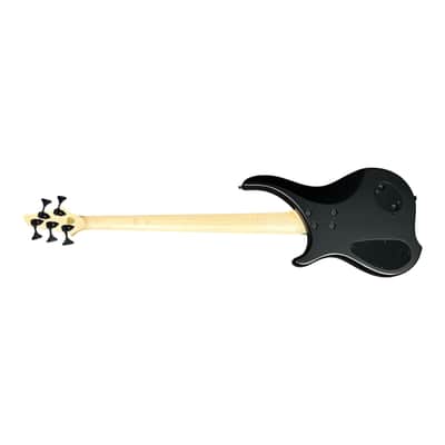 Dingwall ABZ (5) Natural Blackburst, Wenge 9 LBS *IN STOCK* image 6