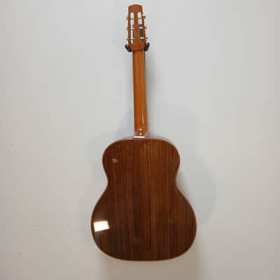 2024 Shelley D Park Rare Non-Cutaway Gypsy Jazz w/ Structured Gig Bag image 4