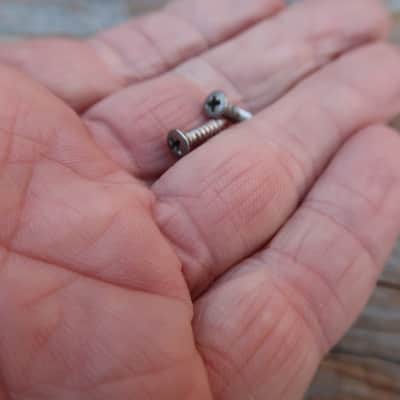 Fender Telecaster 1974 Control Plate Screws (2) image 2