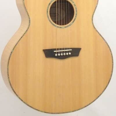 Washburn WJ45S Jumbo Solid Spruce Top Acoustic Guitar w/Hard Case + More image 4