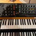 Behringer Poly D 4-Voice Polyphonic Synthesizer 2020 - Present - Black / Wood