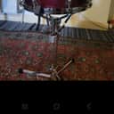 Yamaha Maple Custom Absolute Nouveau 5.5x13" Snare Drum