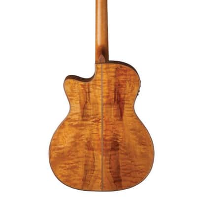 Washburn G66SCE Comfort Deluxe 66 Auditorium Cutaway Acoustic Electic Guitar. Spalted Maple Item ID: WCG66SCE-O-U image 2