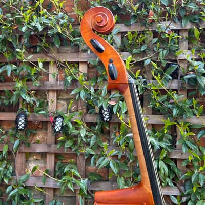 Westbury 3/4 Size - Made for The Sound Post Ltd mid to late 2010s - Hand varnished image 21