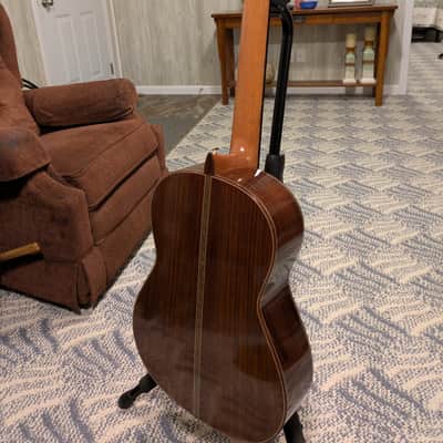 Michael Thames Classical 2022 - French Polish, Visesnut Case image 8