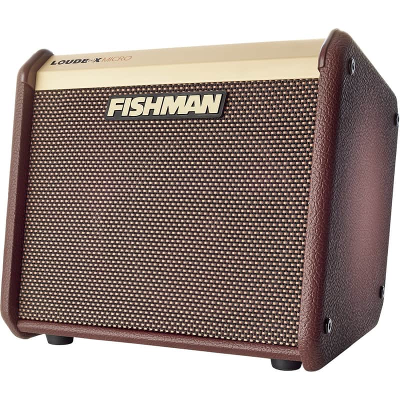 Fishman PRO-LBT-400 Loudbox Micro Lightweight 40W Practice Acoutic Combo Amplifier Brown PRO-LBT400 image 1