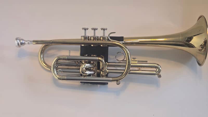 Blessing B-123 Cornet - Lacquered brass/silver image 1