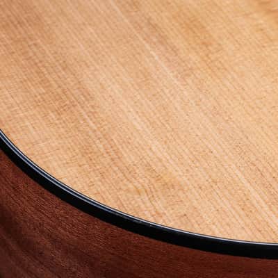 Taylor 150ce 12-String Acoustic Electric Guitar with Gig Bag image 5