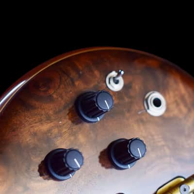 Alembic Essence 1998 image 13