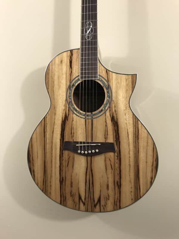 イヴ Ibanez EW20ZWE Exotic Wood Series Zebrawood Acoustic/Electric