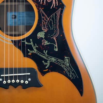 2024 Epiphone FT120 Masterbilt Excellente Acoustic - in Natural image 14