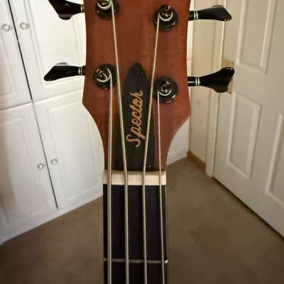 Spector Timbre 2010s - Walnut image 10